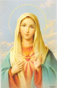 Sacred-Heart-of-Mary.jpg